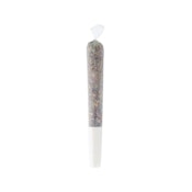 PURPLE G*SHERS PRE-ROLL - 1x 0.5g