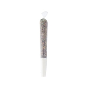 Pineapple Buds - PURPLE G*SHERS PRE-ROLL - 1x 0.5g