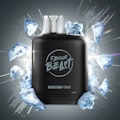 Arctic Menthol - 25K Puffs - 20mg/mL