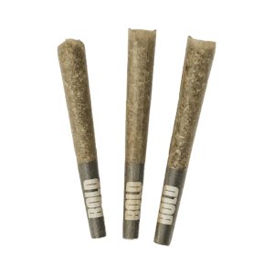 BOLD - Mint Condition