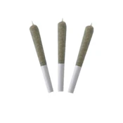 MANGO GOLD ORGANIC (Ross' Gold - Animal Kush x Mango Kush x Pink Cookies) | 3 x .5g