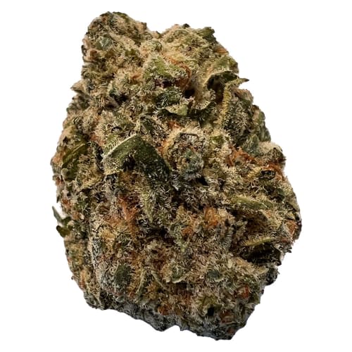 BC Purple Kush 28g Dried Flower