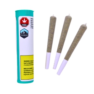 Everest - Ego Checker