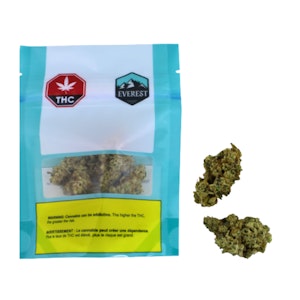 Everest - Ego Checker