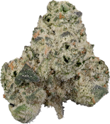 The Loud Plug - Tropicana Cookies | 28g