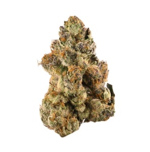 ROGWORLD - BONG GURU ROCKSTAR - 28G