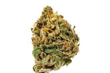 Buzz - AGENT ORANGE SMALLS