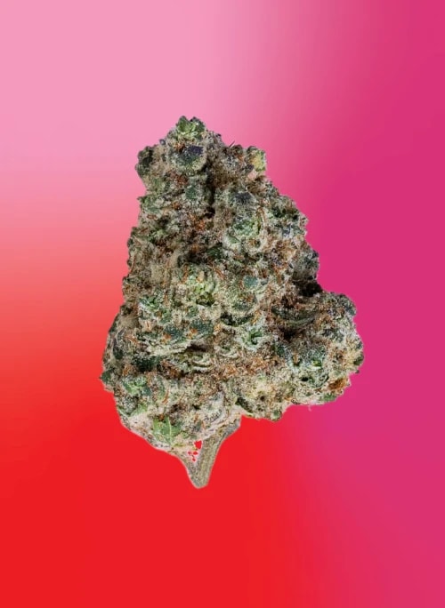 Brain Cake 7g Dried Flower by Soar