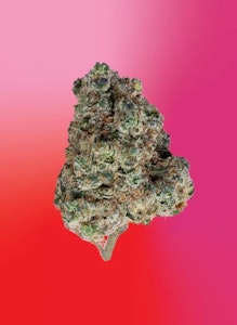 Soar - Brain Cake 7g Dried Flower by Soar