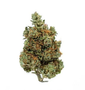 Fort 20 Farms - Fort 20 Farms - BC Key Moh Kush (7g)