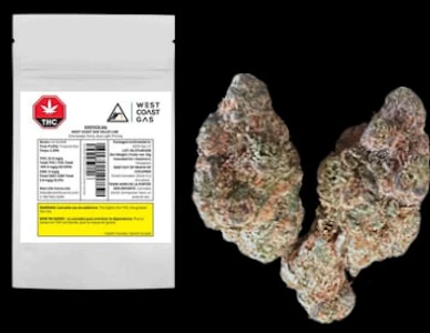 West Coast Gas - Exotics - LA Guava - 14g