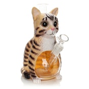 LIT SILICONE | 8.75" Cat Water Pipe