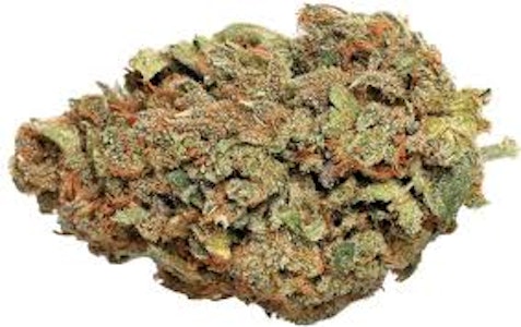 Dab Bods - Twisted Citrus 14g