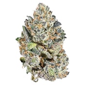 Indica: Cookies & Cream Pheno #15 14g