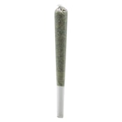 BC Organic Fire OG Infused Rosin Rolls 1 x 0.5g