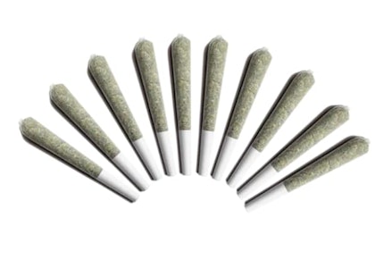 Choklit Park  - SAPPHIRE FROST PRE-ROLLS - 10X0.5G