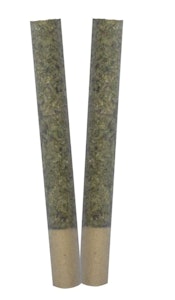 TRYGG - Ignite Pre-Rolls - 2x1g