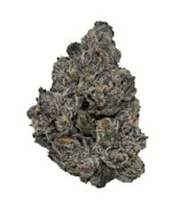 November Rain - WHITE RUNTZ | 7g