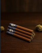 SOARING TIGER 10x0.5G