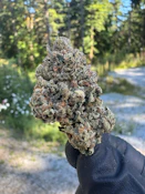 Craft Hippie Diesel - 14g
