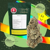 PAYLOAD ROTATING - WOODY NELSON - 14G