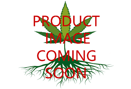 Rocky Mountain Herb Co. - Rocky Mountain Herb. Fire Breath 1g Shatter