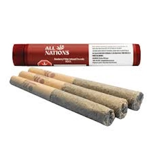 All Nations - BLUEBERRY FRITTER INFUSED PR | ALL NATIONS | 3 x .5g