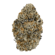 Mango Voltage by Choklit Park 7G