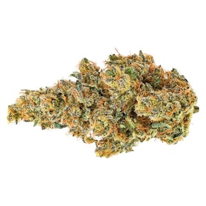 Coast Mountain Cannabis - BC Organic Dancehall - Sativa - 3.5g