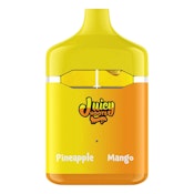 PINEAPPLE & MANGO 2-IN-1 DISPOSABLE VAPE - 1G