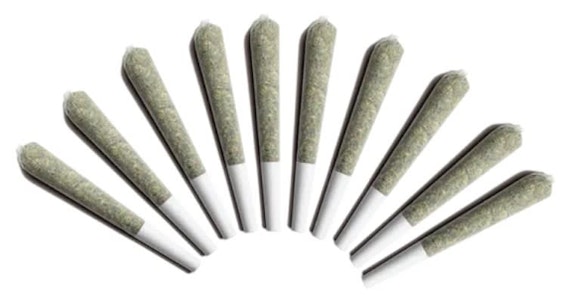 Choklit Park  - Sky Cocoa | Choklit Park 10x0.5g Pre-rolls | Elevate