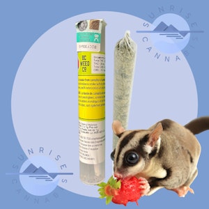 BC Weed Co. - STRAWBERRY SUGAR - BC WEED CO - 1X1G