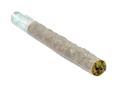 Puffers Paradise - Magik Dragon (0.5g x 1PR) - Puffers Paradise