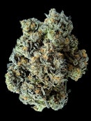 MKU x JEALOUSY - 14g