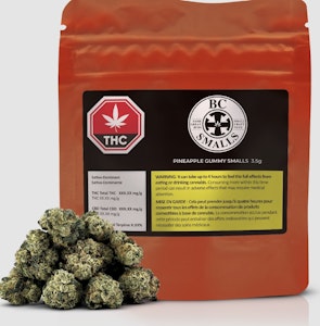 BC Smalls - BC SMALLS | PINEAPPLE GUMMIES | 3.5g