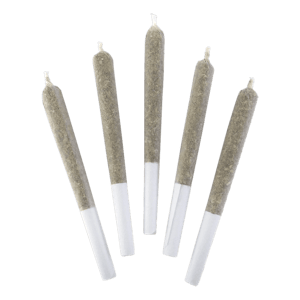 SMOKER FARMS - MASTER KUSH ULTRA | 5 x .5g