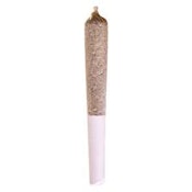 Station House - Jack Herer 1 x 0.5g Pre-Roll