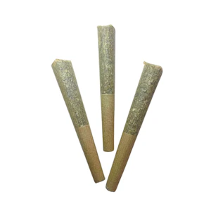 NOVEMBER RAIN - GASTRO POP DIAMOND | 3 x .5g