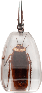 Creature - Creature - Clear Stand-Up Roach Clip - Large