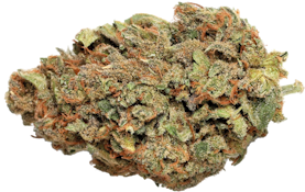 Dab Bods - Twisted Citrus Botanical Buds 14g Dried Flower