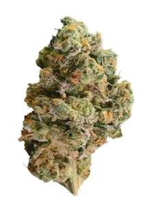 Next Friday - Next Friday - G.A.S 7g Dried Flower