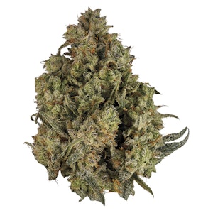 Orchid CBD - Orchid - CBD Rntz THC CBD Balanced 3.5g Dried Flower