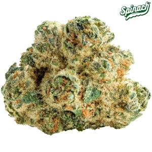 Spinach - Spinach - Space Cake 14g Dried Flower