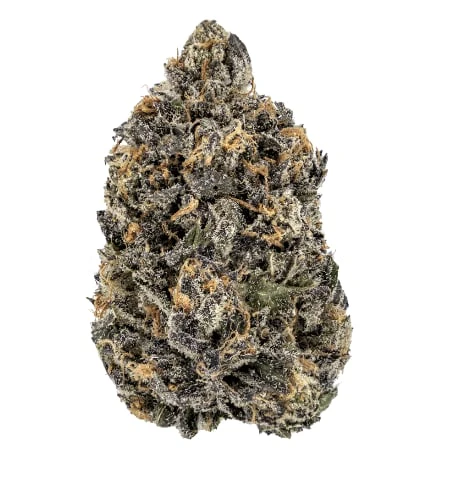 Woody Nelson - Woody Nelson | Cherry Chewbanger | 7 g Main Image