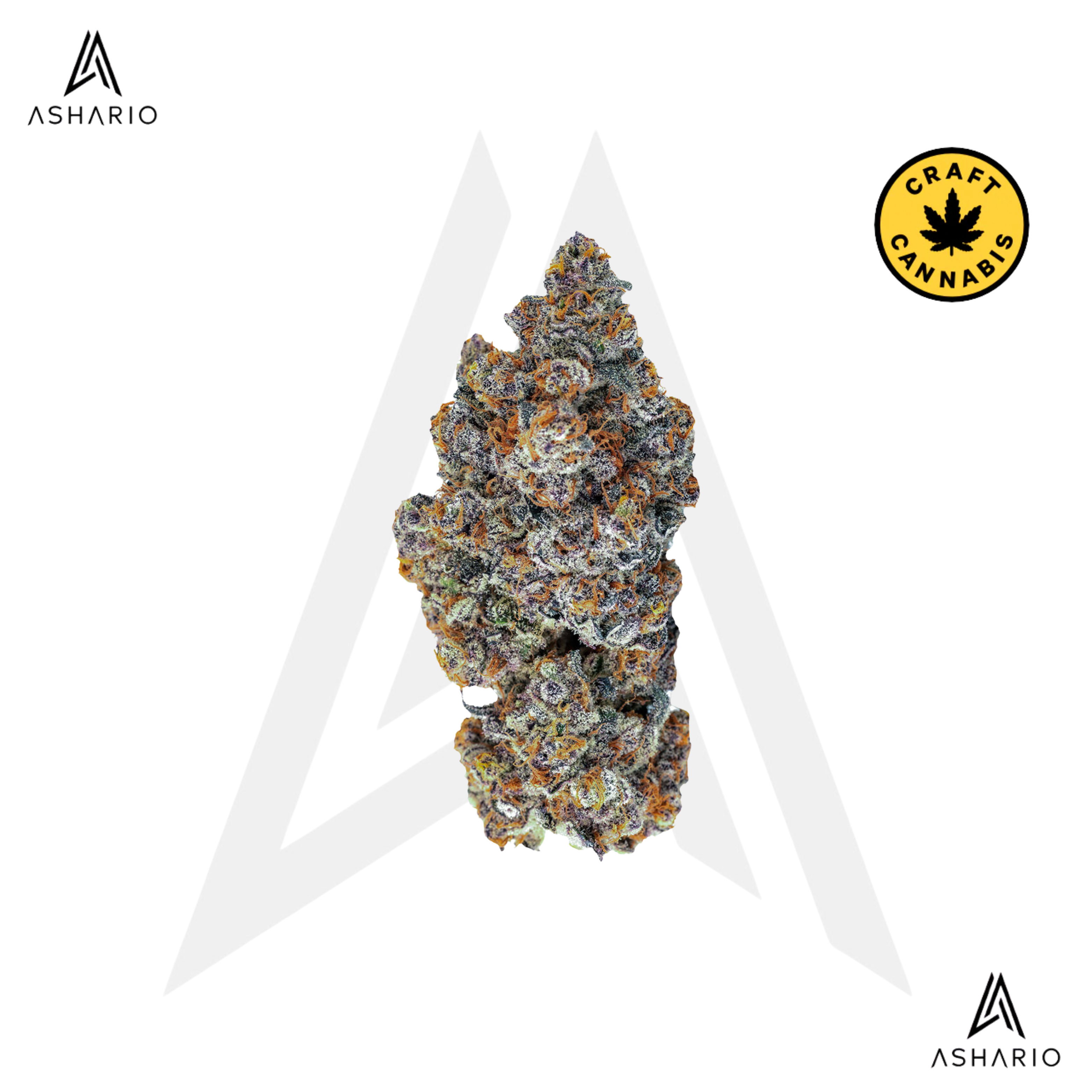 Espresso Gelato | 7g