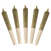 Buddy Blooms - Lil Buddy Sativa Pre-Roll - 5x0.5g