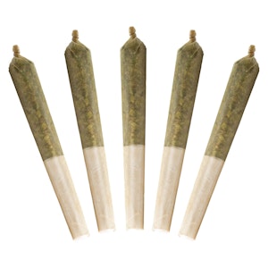 Buddy Blooms - Buddy Blooms - Lil Buddy Sativa Pre-Roll - 5x0.5g