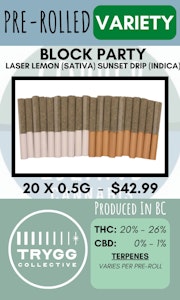 TRYGG - TRYGG COLLECTIVE - BLOCK PARTY VARIETY PACK PRS