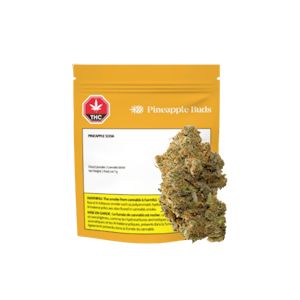 Pineapple Buds - Pineapple Buds Pineapple Soda - 7g