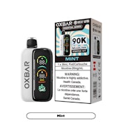 Mint (Starter Kit) - 30ml - 20mg - OXBAR X MAGLINK